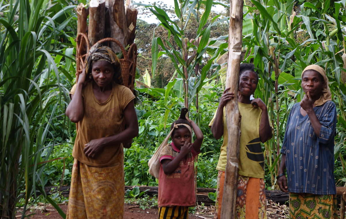 Un appel émouvant des Baka « pygmées » à la Commission européenne